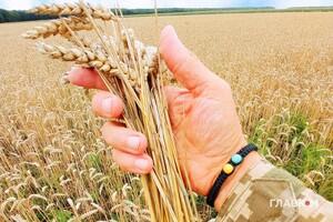 Українська зернова асоціація оцінила втрати агросектору через війну 