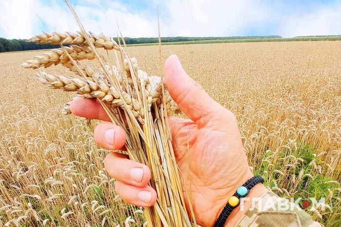 Пшениця різко здорожчала після нічного обстрілу Одещини