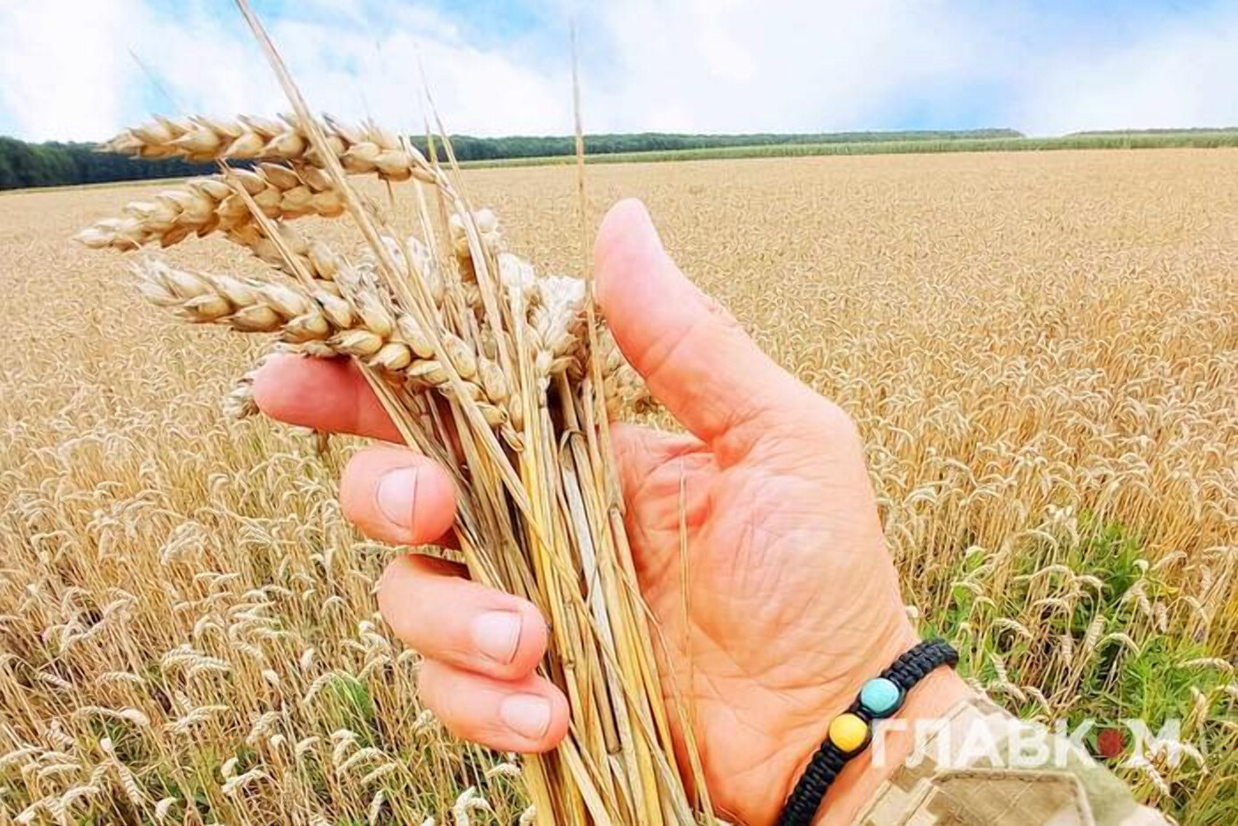 Пшеница резко подорожала после ночного обстрела Одесской области