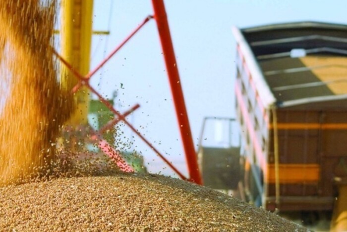 Єврокомісія тисне на п'ять країн задля вивезення зерна з України – Deutsche Welle