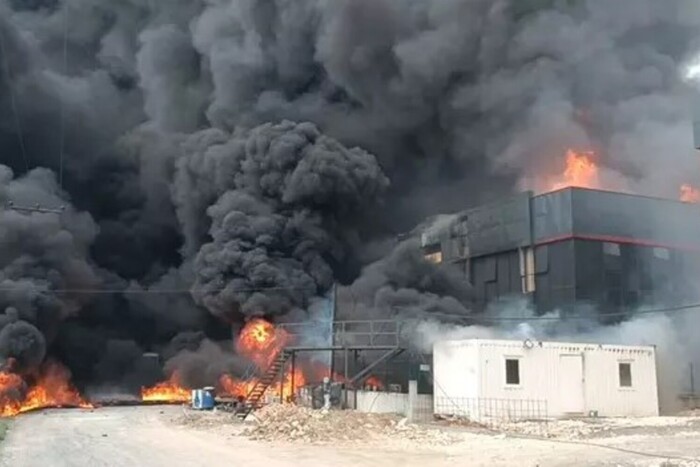 У Туреччині спалахнула пожежа на великому хімічному заводі (фото)