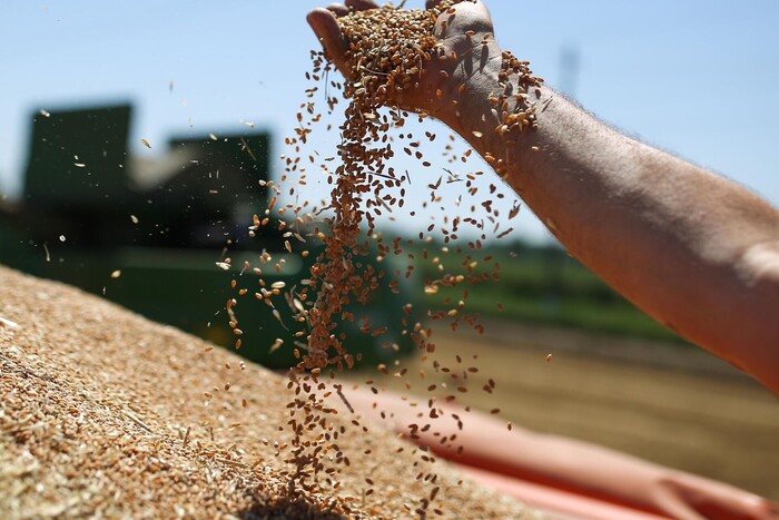 Польща заговорила про збільшення експорту українського зерна