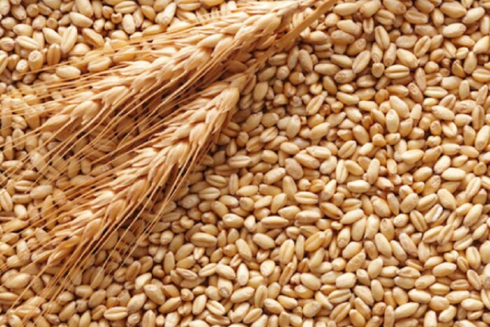 Росія зіткнулась із новими проблемами в експорті зерна