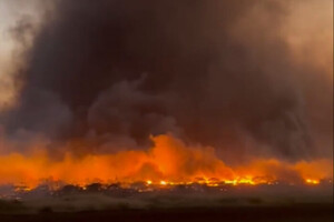 Лесной пожар на Гавайях: сгорел целый город (фото, видео)