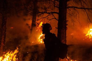 Пожежники використовують штучний інтелект, щоб швидше реагувати на лісові пожежі