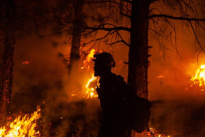 В Калифорнии искусственный интеллект помогает обнаруживать лесные пожары