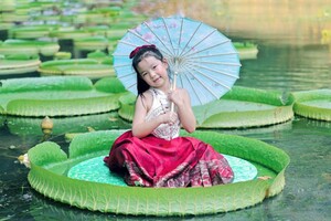 У Китаї розквітло гігантське латаття: дітлахи не приховують захвату (фото)