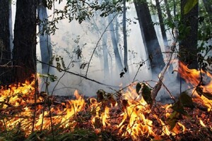 Синоптики закликали українців бути обережними у поводженні з вогнем на відкритому повітрі