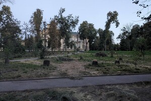 У Києві комунальники вирізали частину парку КПІ (фото)