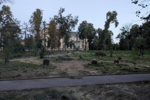 В Киеве коммунальщики вырезали часть парка КПИ (фото)
