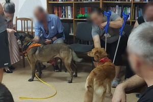Реабілітація ветеранів за допомогою тварин: заступниця голови КМДА показала милі фото