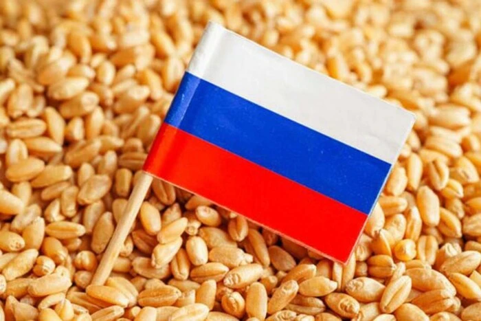Поставки російського зерна до однієї країни зросли на 5680%