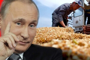 Поставки российского зерна в одну страну выросли на 5680%