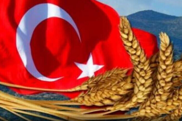 Возобновление «зернового соглашения»: Турция работает над переговорами