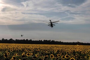 За словами президента, Україна не мала достатньо засобів, щоб розпочинати активні дії 