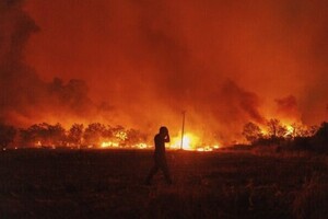 У Греції лютують лісові пожежі: знайдено тіла 18 жертв (фото, відео)