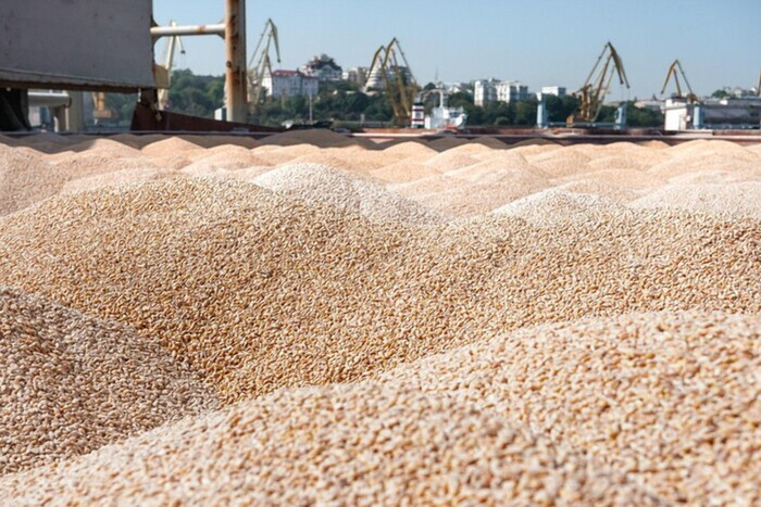 США видят пути экспорта украинского зерна в обход зернового соглашения