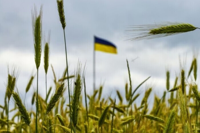 Румыния пообещала удвоить транзит украинского зерна