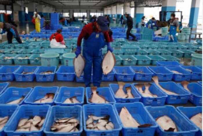 Скандал із рибою: Японія буде скаржитися на Китай у провідну торгову асоціацію