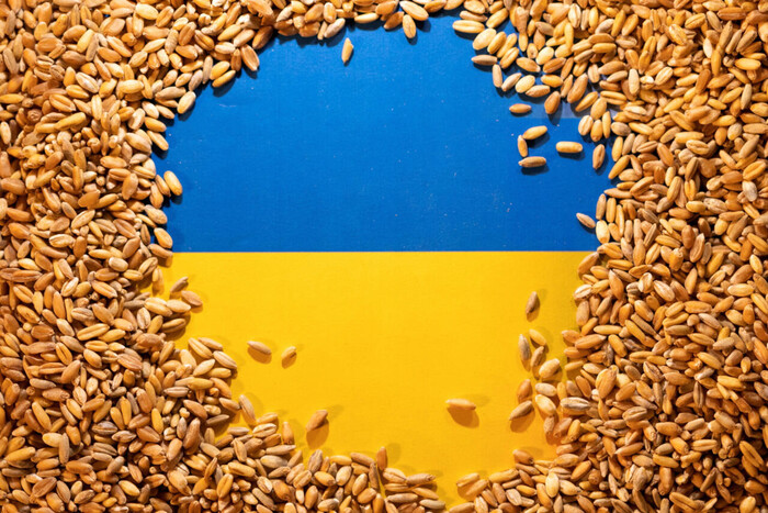 ЄС пропонує Україні субсидію на транзит зерна 
