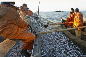 Еврокомиссия подготовила неприятный сюрприз для финских рыболовов: ударит по экономике