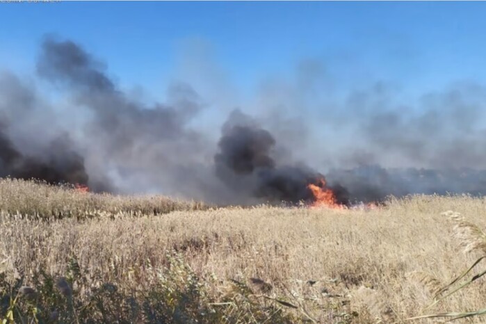 У захопленому росіянами заповіднику «Асканія-Нова» спалахнула масштабна пожежа 