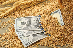 Уже не Египет: Россия сменила своего главного покупателя зерна