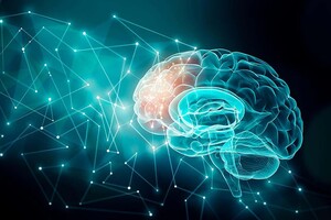 В Одесі лікарі вперше діагностуватимуть мозок за допомогою штучного інтелекту