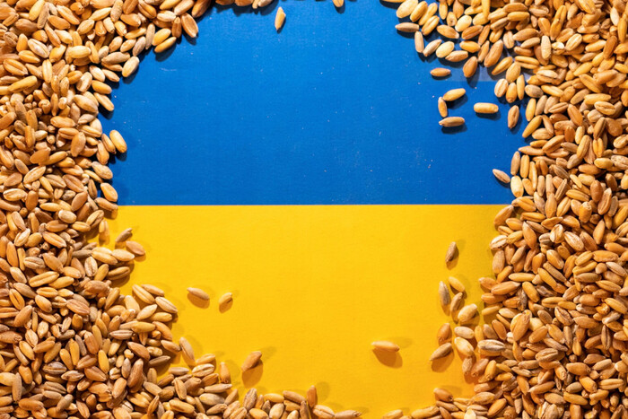 Польша продлила эмбарго на импорт украинского зерна