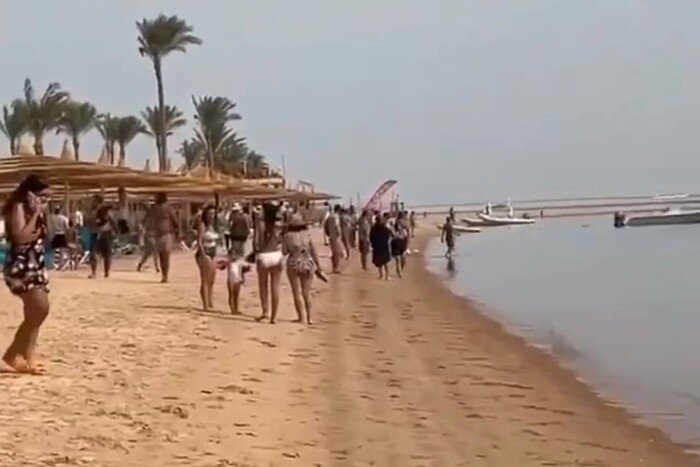 В Єгипті акула напала на туристку (відео)