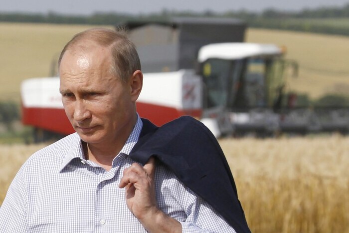 Почему в России дорожает хлеб? Спросите у Путина