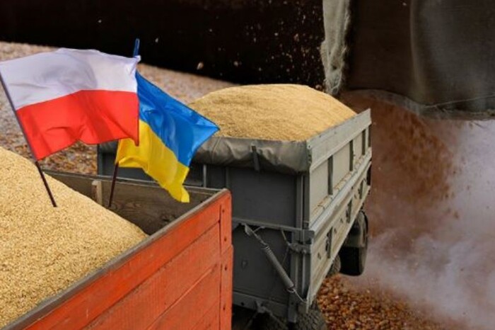 Польща погрожує запровадити безтермінове ембарго на українське зерно