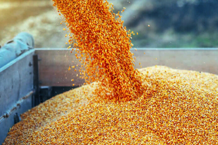 Польша угрожает ввести бессрочное эмбарго на украинское зерно
