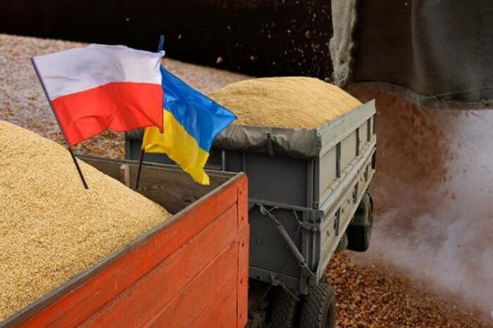 Експорт зерна: Польща готова блокувати вступ України до ЄС