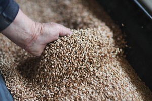 Україна подала позов до Світової організації торгівлі через заборону імпорту зерна
