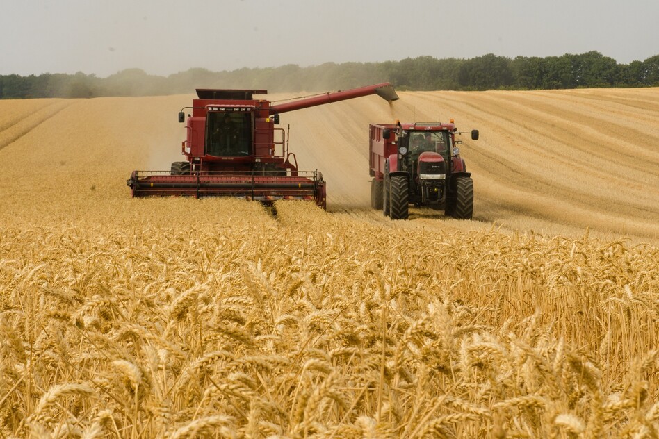 Українське зерно – перший тест для розширення Євросоюзу