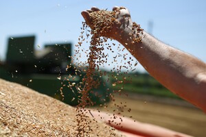 Bloomberg: Перше судно з зерном, що вийшло з України, знизило світові ціни на пшеницю