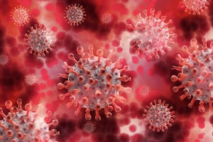 Новый вирус в мире может вызвать пандемию – ученые
