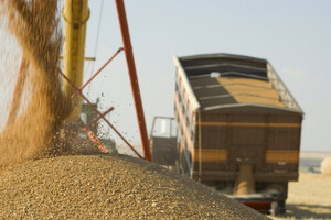 Украина может отозвать иски к ВТО из-за зерна: названо условие