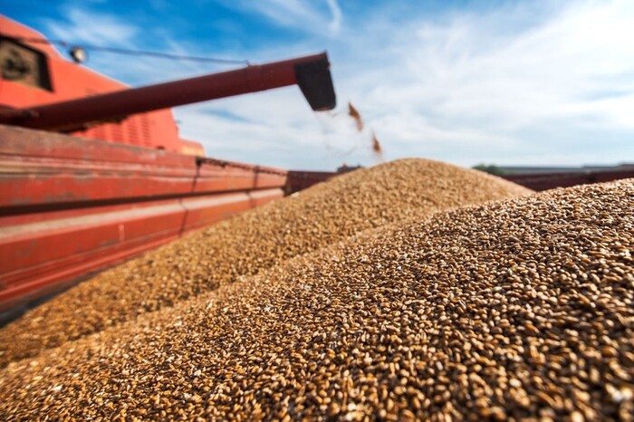 Румунія пояснила, чому не заборонила українське зерно слідом за Польщею