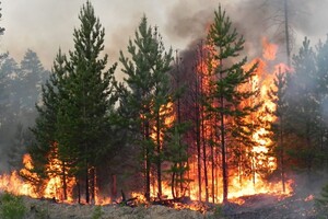 Синоптики попередили про небезпеку жителів більшості областей