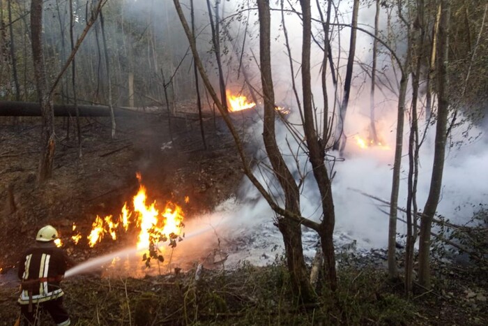 Прорив нафтопроводу на Франківщині: рятувальники загасили пожежу 
