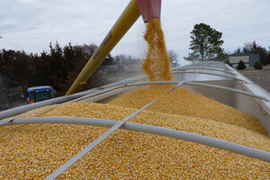 Украина «поставила на паузу» жалобу в ВТО по экспорту зерна