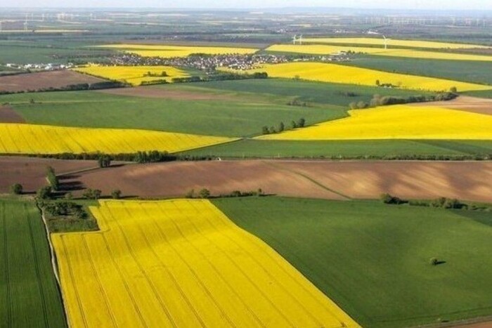 В Україні дорожчає земля: в яких регіонах ціна найвища