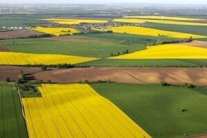 В Україні дорожчає земля: в яких регіонах ціна найвища