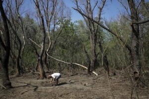 На місці вибуху виявили кратер