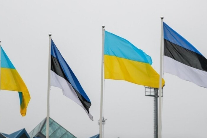 Естонія схвалила використання заморожених активів РФ для допомоги Україні