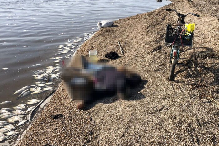 Окупанти вбили ракетою 71-річного рибалку на Нікопольщині (фото)