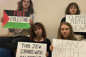 Грета Тунберг поддержала Сектор Газа: реакция Израиля