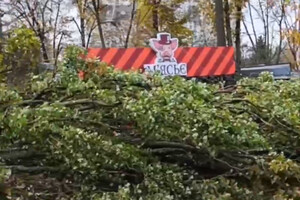 Вітер повалив дерево на МАФ